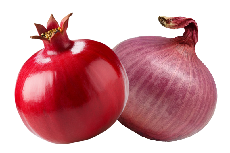 Fox Nut exporter in chennai