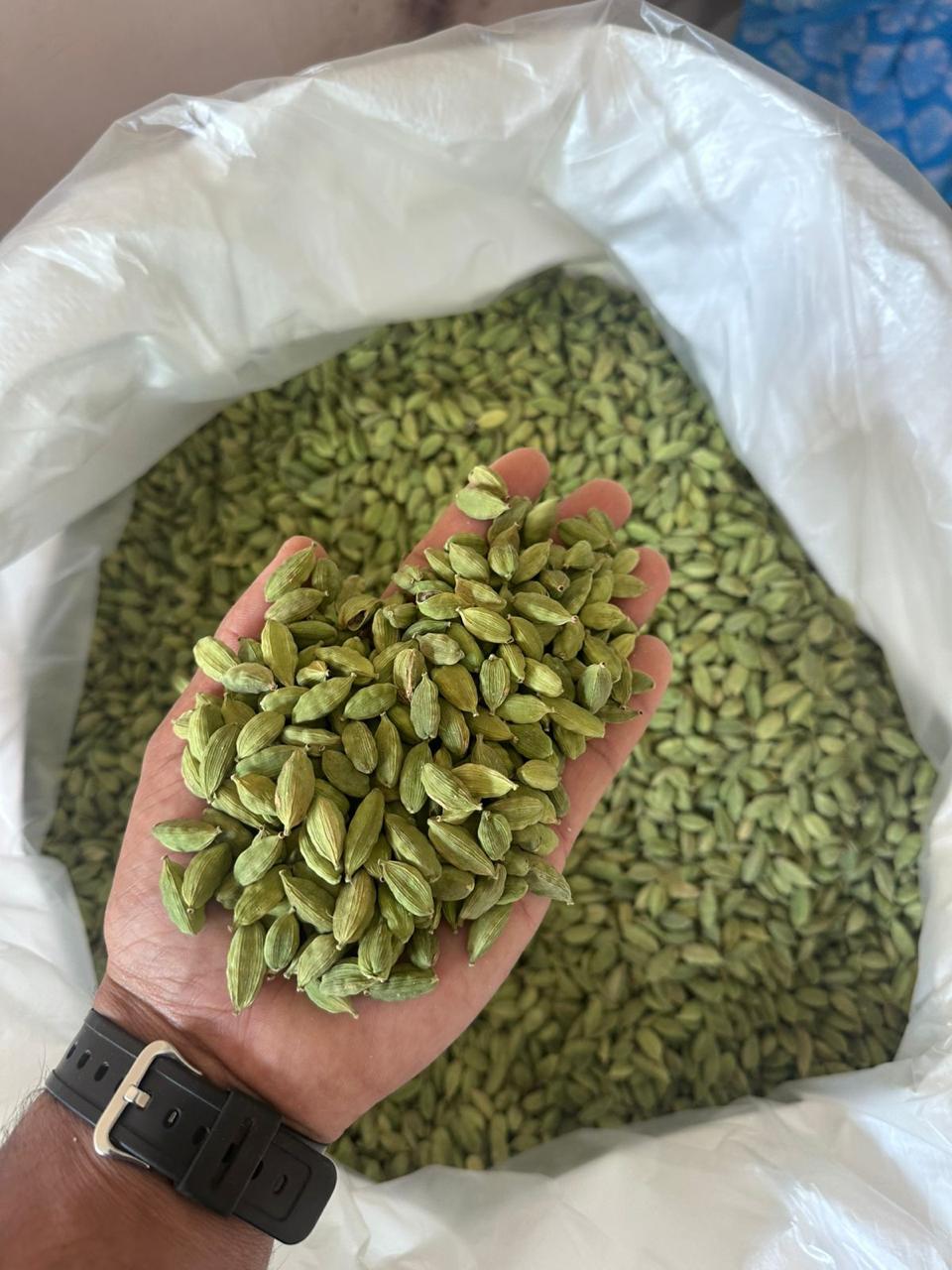 spices exporters in chennai