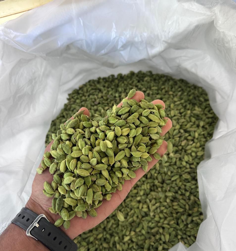 spices exporters in chennai