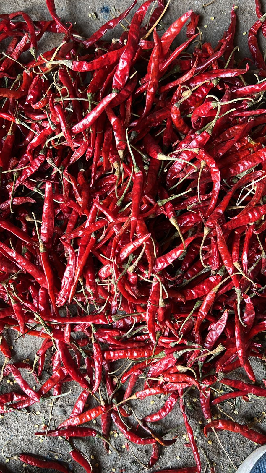 spices exporters in chennai